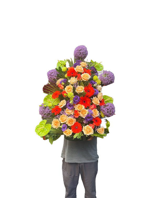 COLONNA-DELICATA-PhotoRoom.png-PhotoRoom Colonna delicata
