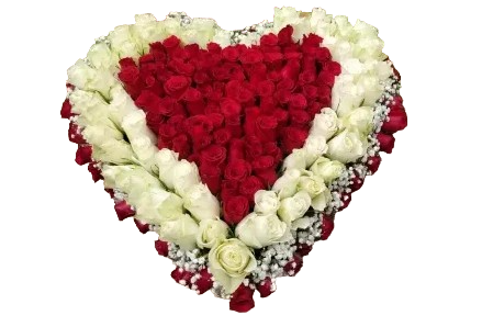 Cuore di roselline con bordo Cuore di roselline con bordi