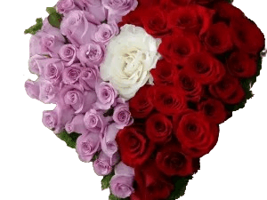 Cuore per funerale piccolo