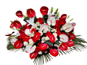 Cuscino bianco-rosso