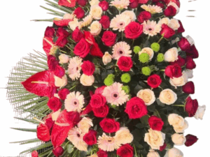 Cuscino rosso-rosa delicato
